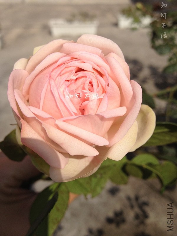 ���ĸ��� 2.jpg