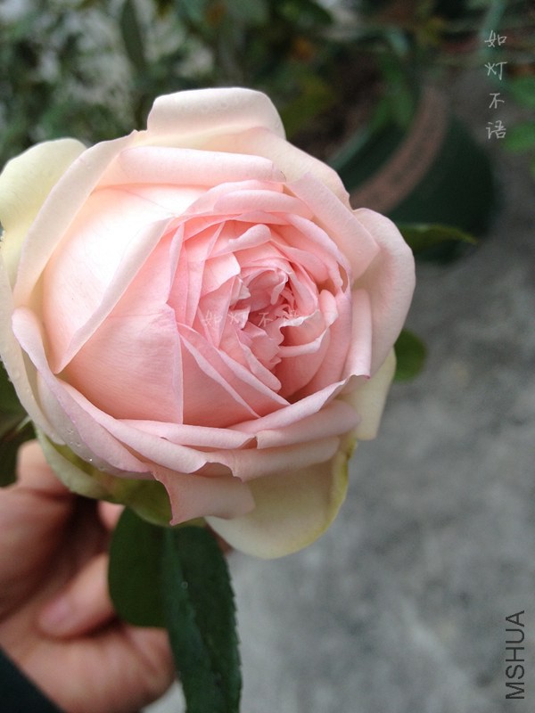 ���ĸ��� 3.jpg