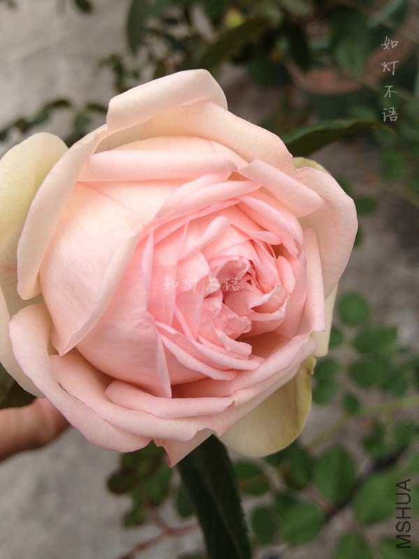 ���ĸ��� 4.jpg