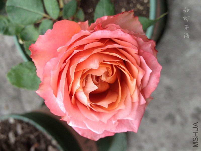 �Ұ��� 3.jpg