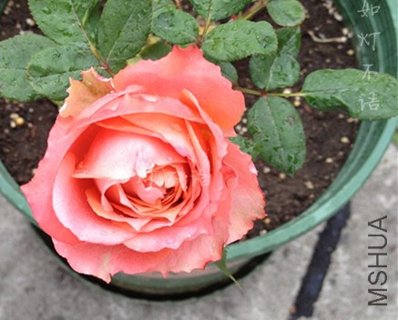 �Ұ��� 2.jpg