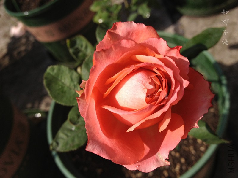 �Ұ��� 1.jpg