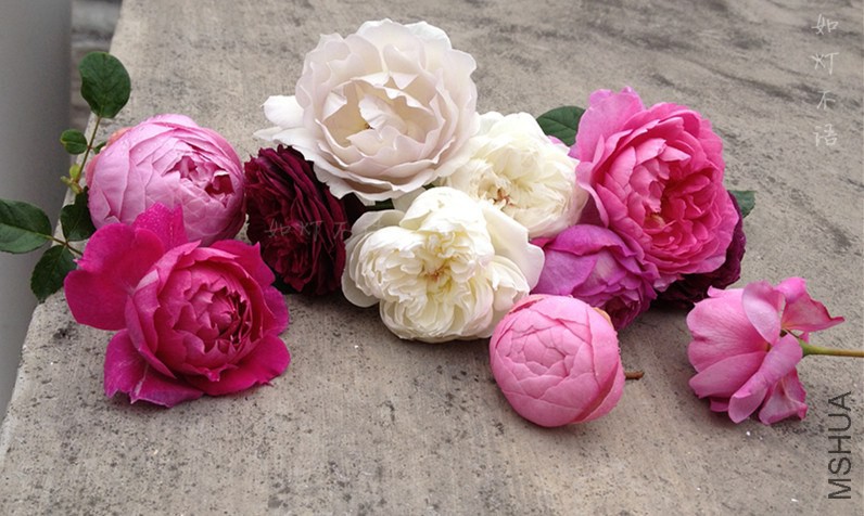 ����2 1 .jpg