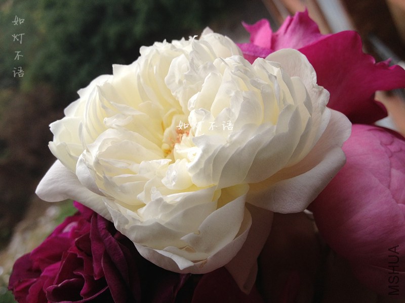 ����2 10.jpg