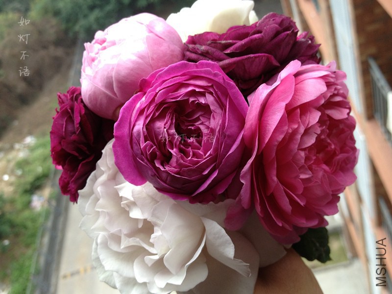 ����2 12.jpg