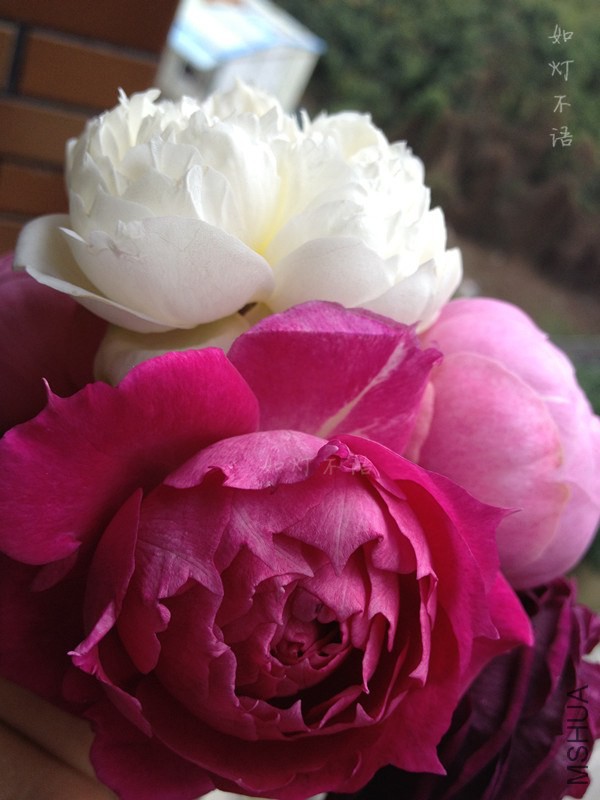 ����2 14.jpg