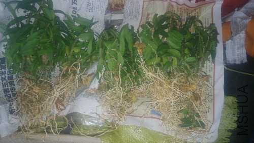 IMG20141219165313.jpg