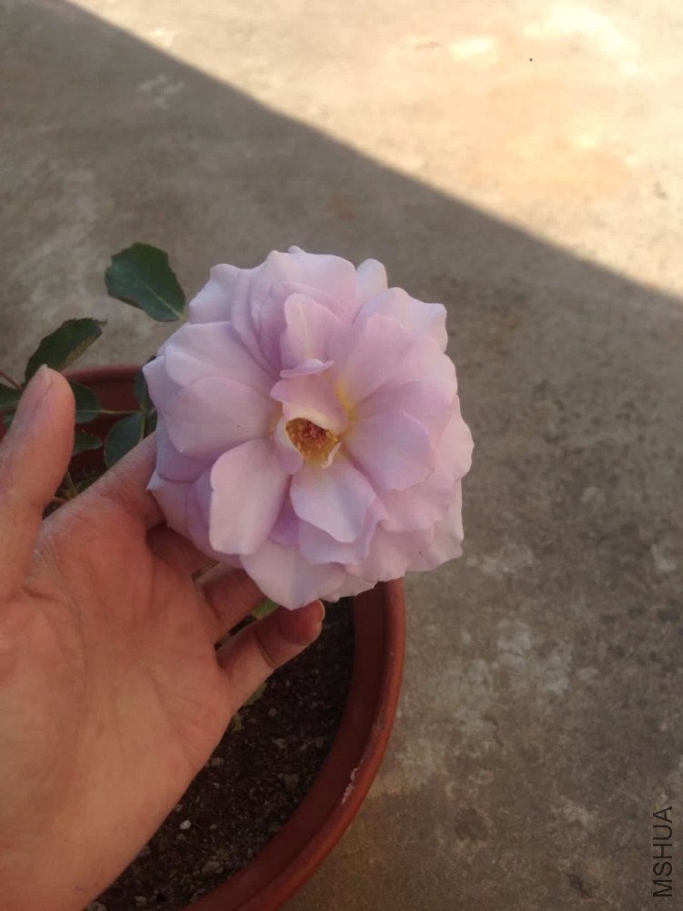 ��Ȼ¶���ˣ����Ǿ��úܽ������о��е���������