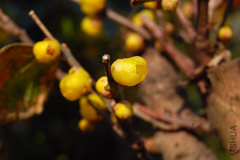 DSC_00310031.JPG