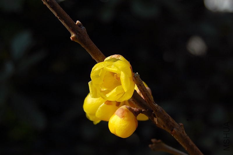 DSC_00210021.JPG