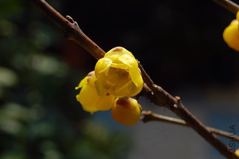 DSC_00120012.JPG