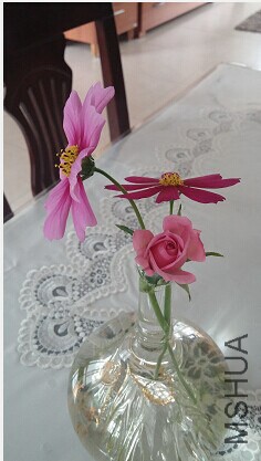 ���߷���Ͳ�˹��