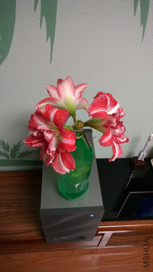 QQͼƬ20141230093056.jpg