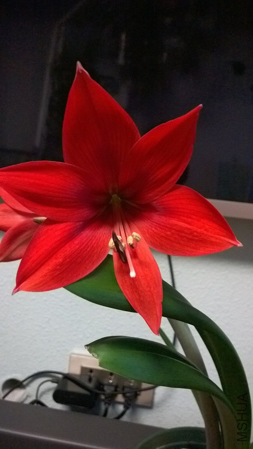 QQͼƬ20141230093100.jpg