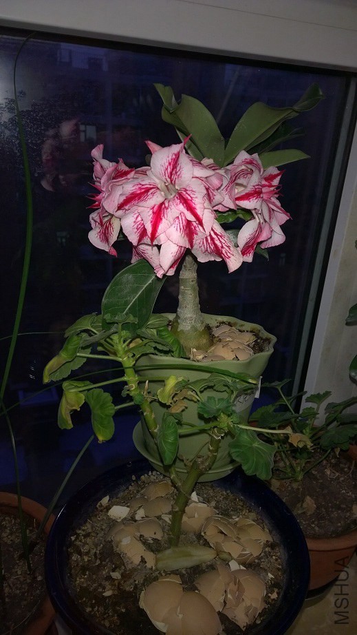 QQͼƬ20141230093333.jpg