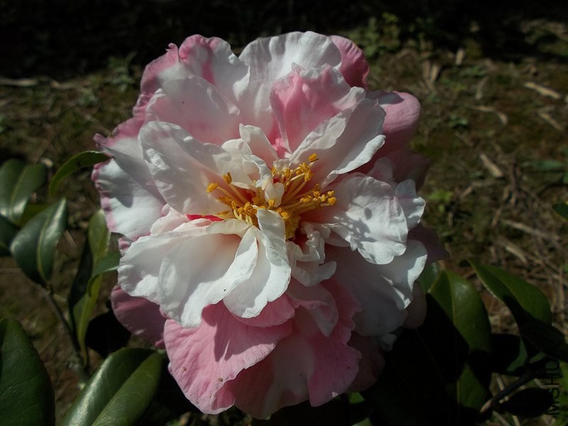 123488 138_����.jpg