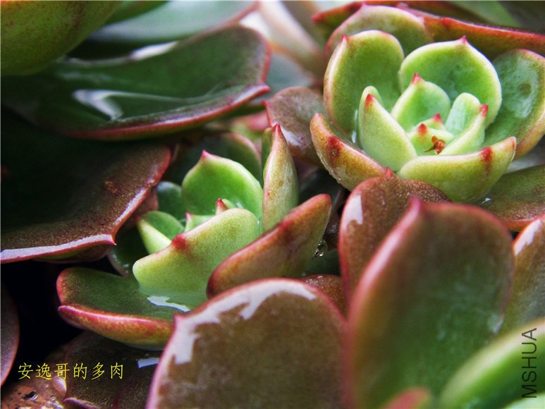 S73F8953.jpg