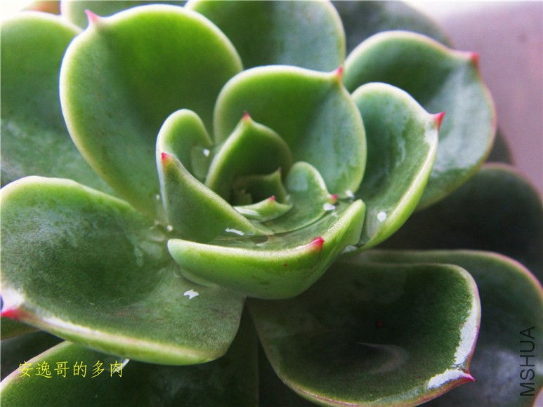 S73F8955.jpg