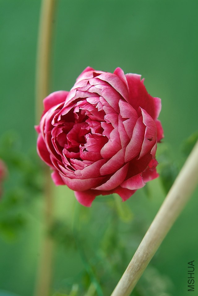 DSCF1141.jpg