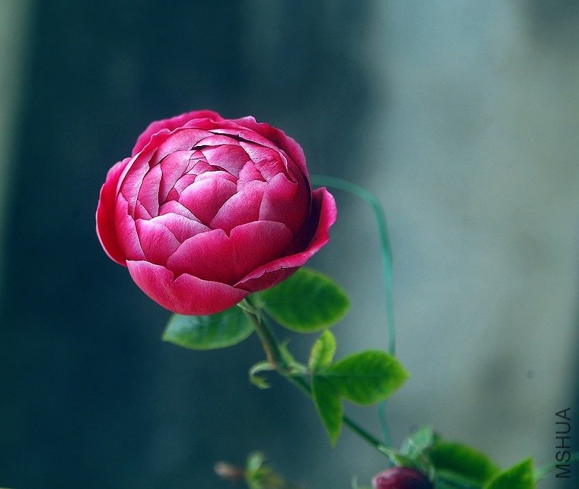 DSCF1207.jpg