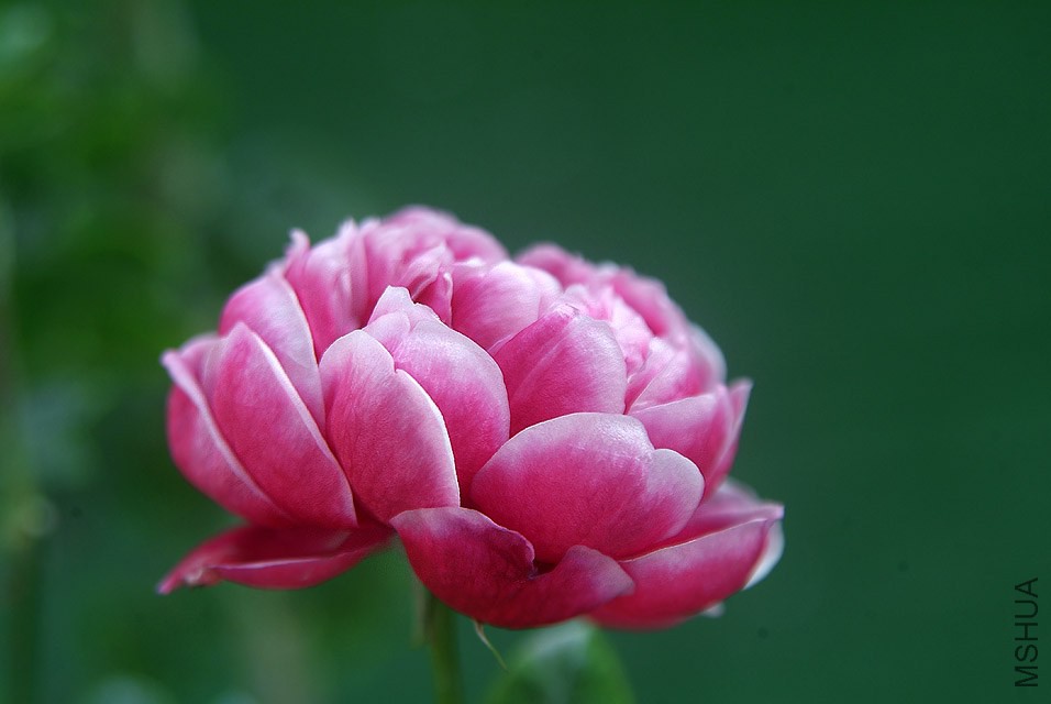 DSCF1218.jpg