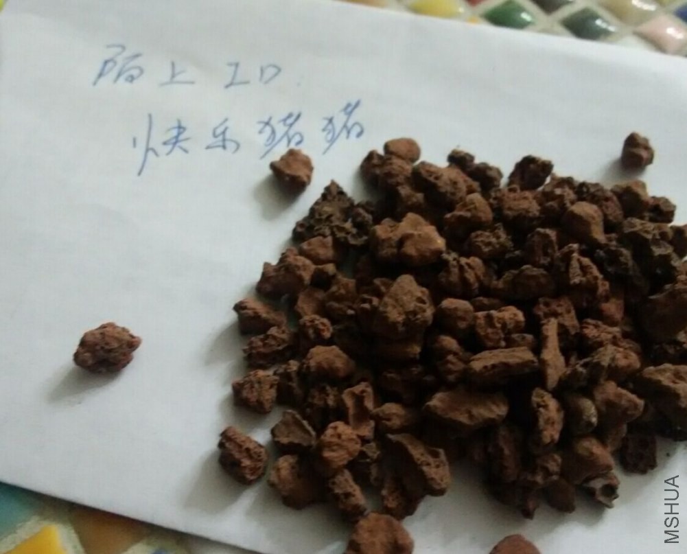 QQͼƬ20141230212455.jpg