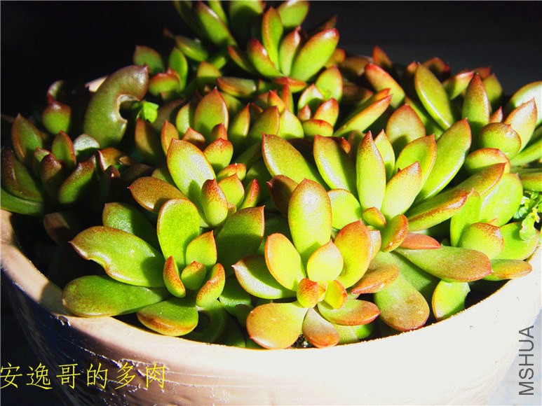 S73F8999.jpg