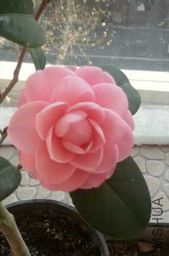 2014-12-29 14.54.37.jpg