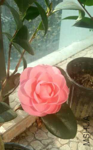 2014-12-28 10.51.52.jpg