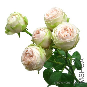 M-��`�� �� ��`�� ��������.jpg