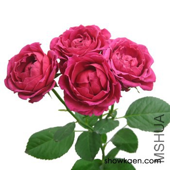 M-���`�� ����.jpg