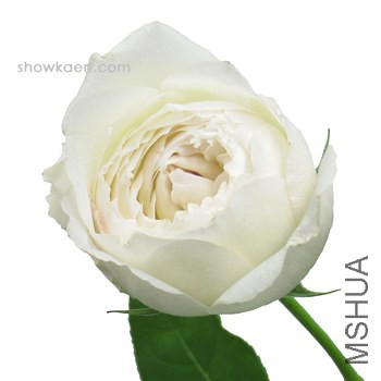 M-�ϩ`���ʥ� **.jpg