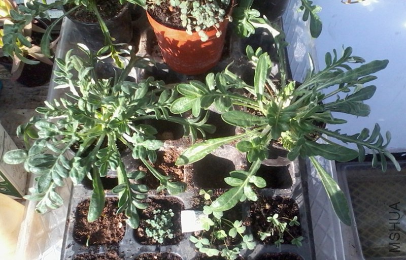 2014-12-31 15.26.42_����_����.jpg