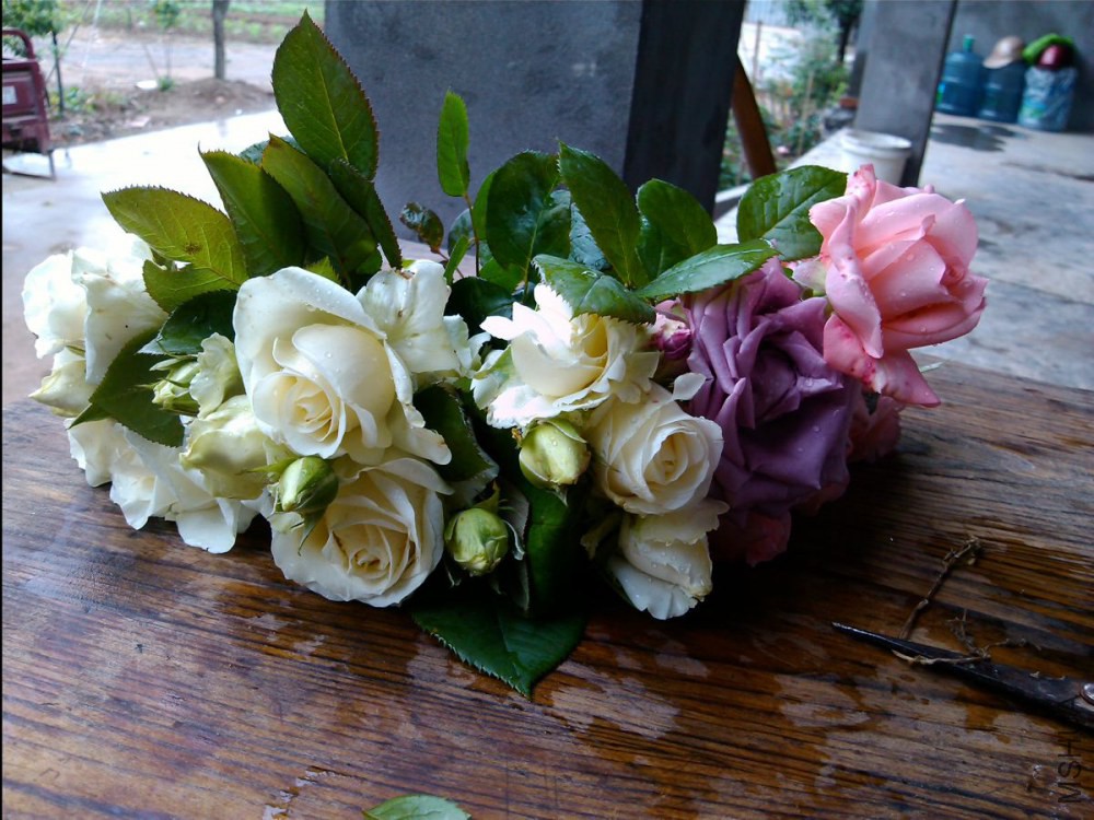 IMG_20140509_141548.jpg