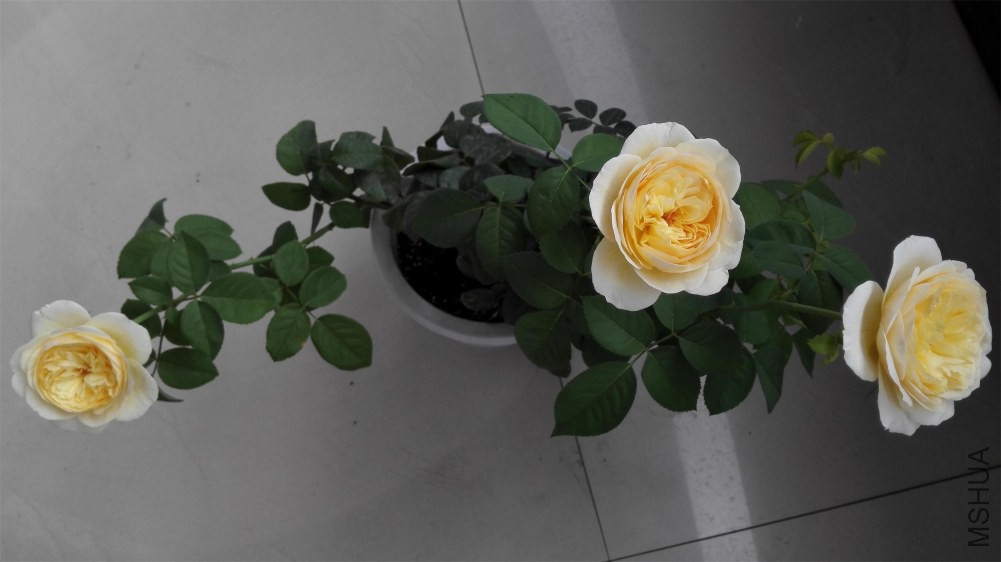 IMG_20140813_091400.jpg