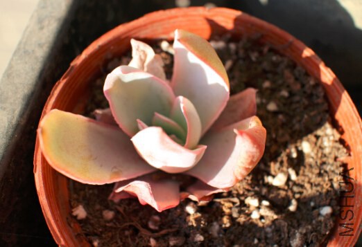 QQ��ͼ20150102094326.jpg