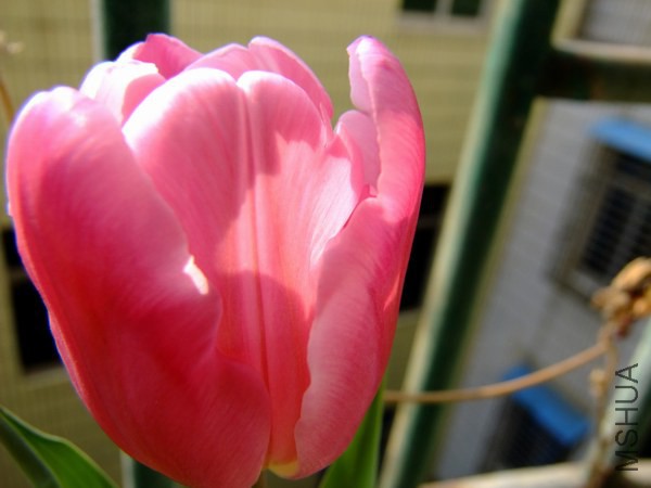 DSCF3817.JPG