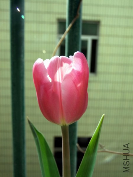 DSCF3830.JPG