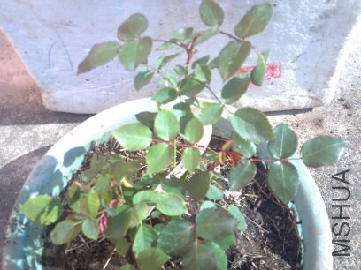 �ٱ��¼�����**��