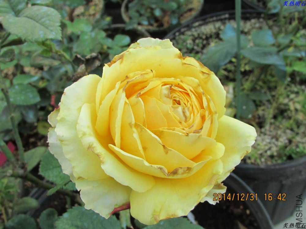 IMG_4283_nEO_IMG.jpg