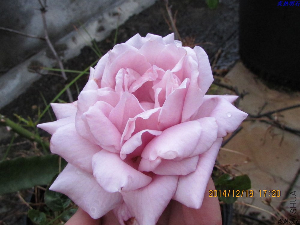 IMG_3773_nEO_IMG.jpg