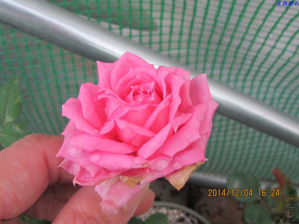 IMG_2663_nEO_IMG.jpg