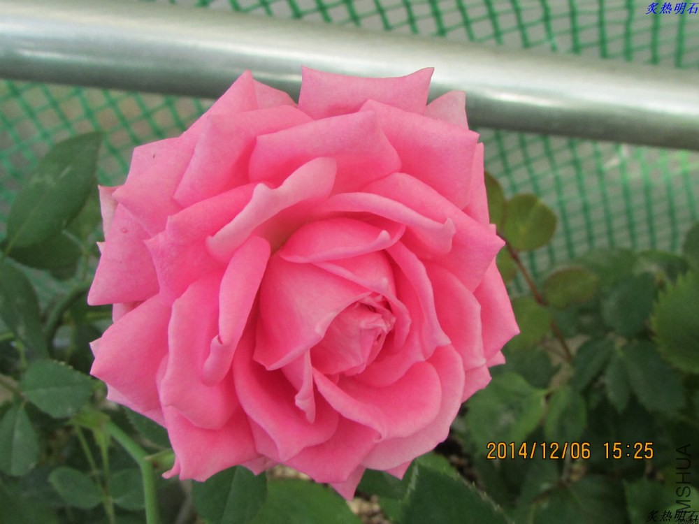 IMG_2797_nEO_IMG.jpg
