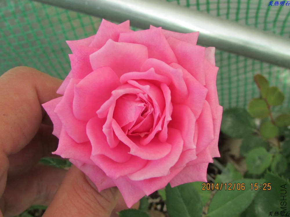 IMG_2799_nEO_IMG.jpg