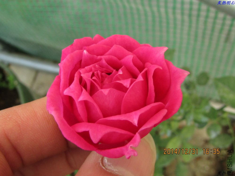 IMG_4234_nEO_IMG.jpg