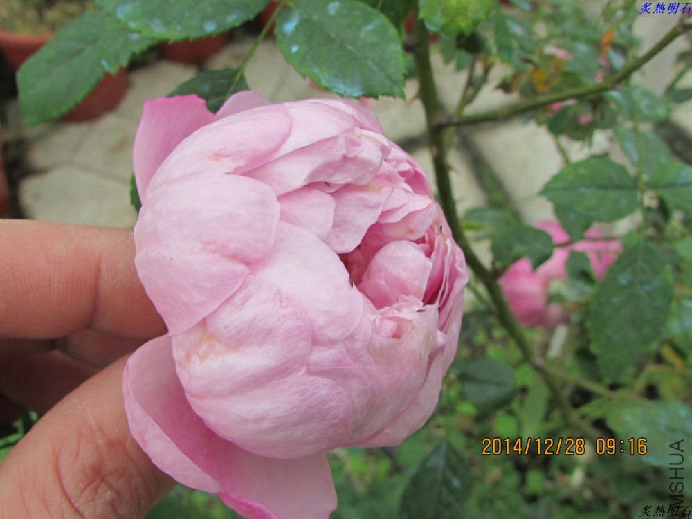 IMG_3857_nEO_IMG.jpg
