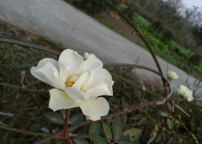 QQͼƬ20150102234237.jpg