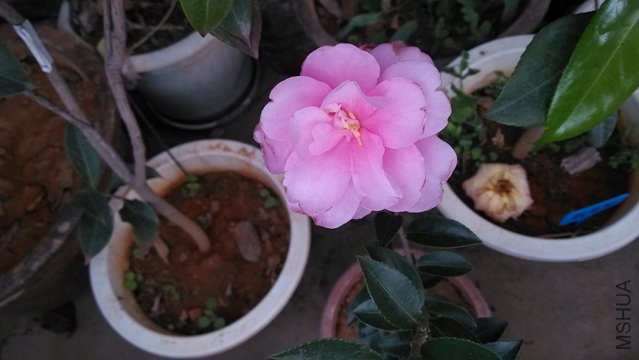 IMG_20150103_091830.jpg