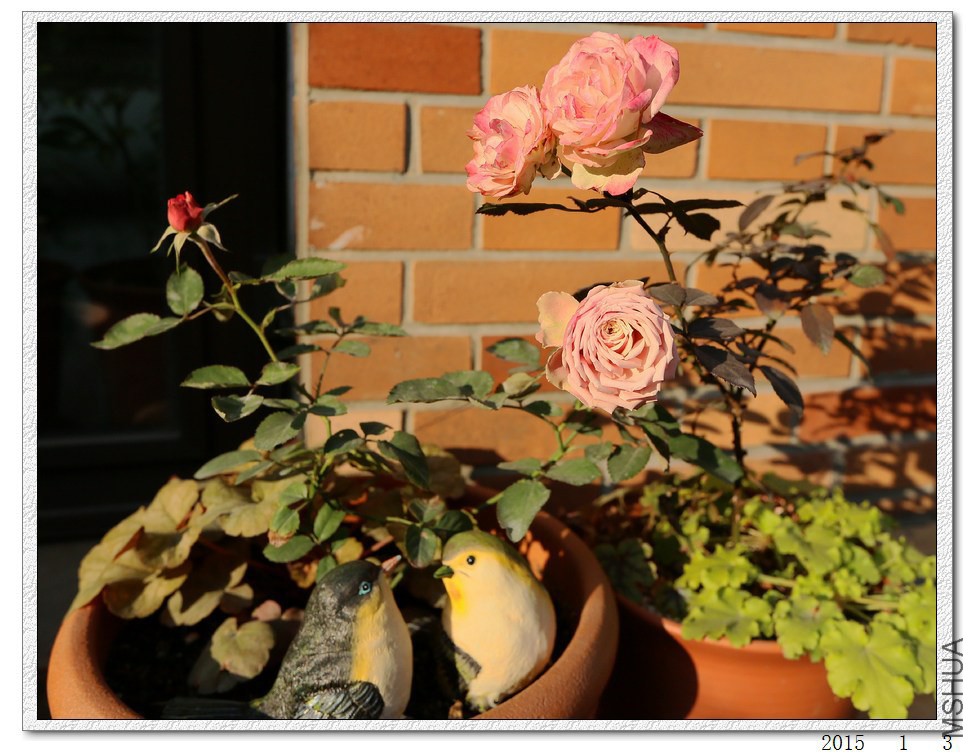2015010305.jpg