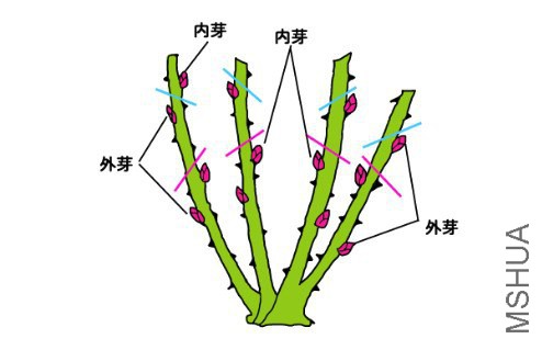 �¼��޼�.jpg